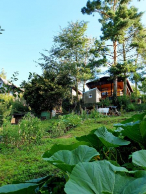 Birch cottage